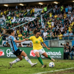 O Rugido das Arquibancadas: O Brasileirão Feminino e a Consolidação de uma Paixão Irreversível